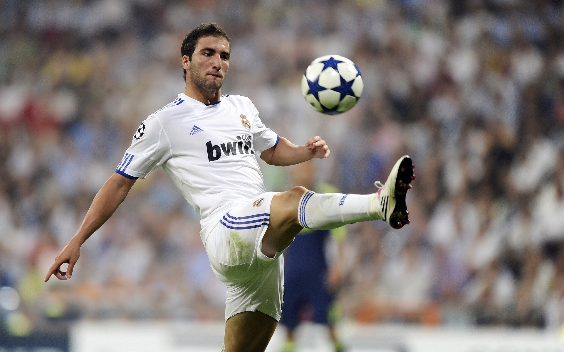 瑞士蝶泳节奏把控精准，世界顶级蝶泳视频